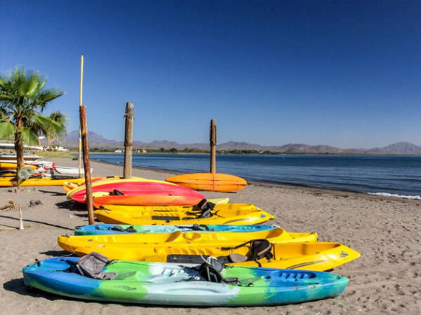 Cosas que hacer en Loreto Baja México