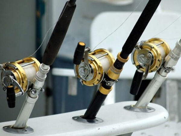 Actividades Acuáticas en Loreto