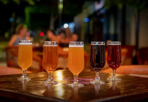 El Zopilote Brewing Co. Loreto con la Mejor Cerveza Artesanal y Cocina Baja