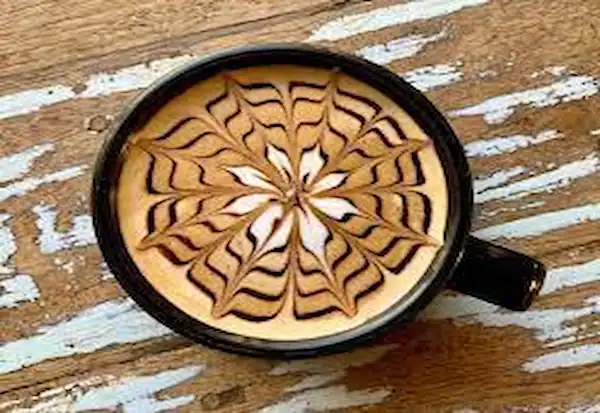 La Sirena Baja Cafe Loreto Bay