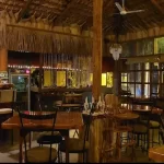 Mike's Bar Loreto: El Mejor Ambiente, Bebidas y Música en Vivo