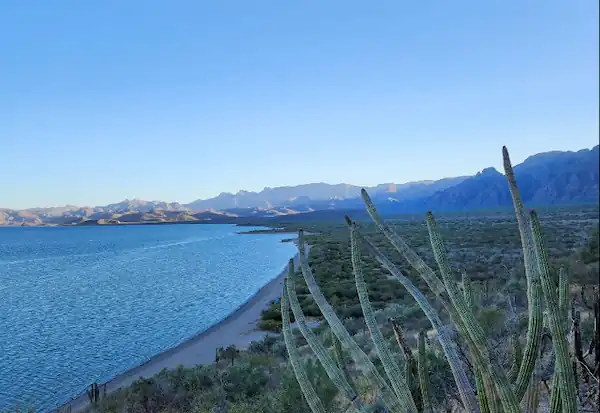 Playa El Quemado Loreto
