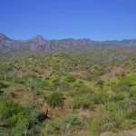 Sierra de La Giganta Baja California Sur Mexico
