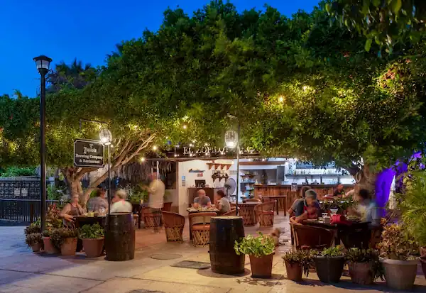 Zopilote Brewing Ubicado en la Plaza Principal de Loreto