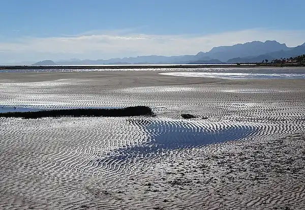 Annual and Seasonal Trends