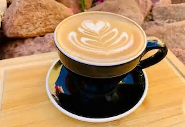 La Sirena Baja Cafe Loreto Bay in Nopoló Baja California Su Mexico