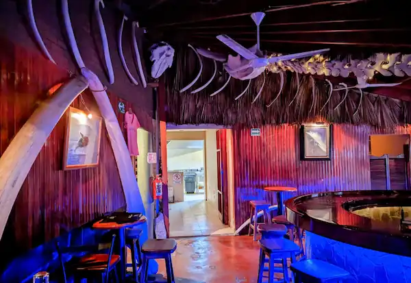 Live Music & Rock Nights at Mike's Bar Loreto on Paseo Hidalgo