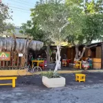 Mi Loreto Restaurant in Downtown Loreto