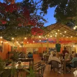 Orlando's the best Mexican Restaurant in Loreto BCS