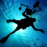 Scuba Diving in Loreto Mexico